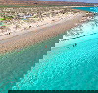 Ningaloo in a Day - Full Day Hike and Snorkel Tour with Lunch - Australian Directory