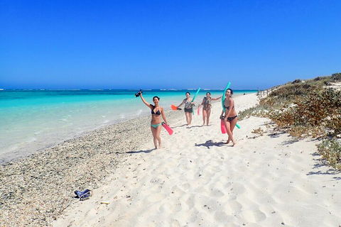 Ningaloo In A Day - Full Day Hike And Snorkel Tour With Lunch - Australian Directory 1
