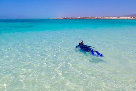 Ningaloo In A Day - Full Day Hike And Snorkel Tour With Lunch - Australian Directory 4