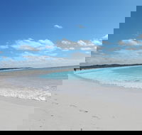 Shipwreck Special Nature Tour/Half Day Tour - Australian Directory