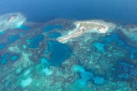 Shipwreck Special Nature Tour/Half Day Tour - Australian Directory 5