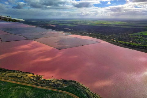 Kalbarri, Pink Lake And Abrolhos Islands Nature Tour - Australian Directory 1