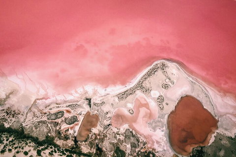 Kalbarri, Pink Lake And Abrolhos Islands Nature Tour - Australian Directory 2