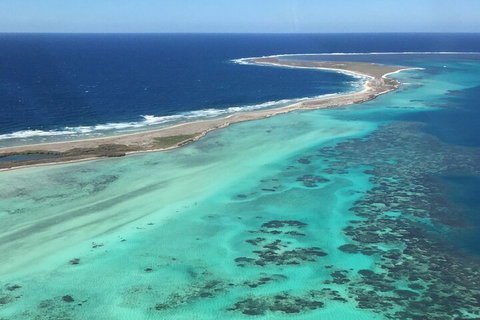 Kalbarri, Pink Lake And Abrolhos Islands Nature Tour - Australian Directory 3