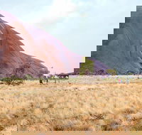Uluru Sunrise and Guided Base Walk - Australian Directory