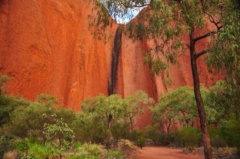 Uluru Sunrise And Guided Base Walk - Australian Directory 3