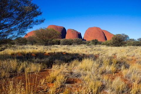 Kata Tjuta Sunrise And Valley Of The Winds Half-Day Trip - Australian Directory 1
