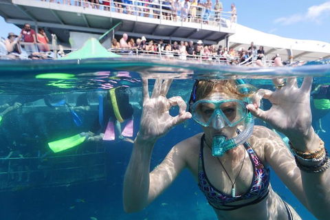 Great Barrier Reef Day Cruise From Cairns Including Snorkeling And Marine Biologist Presentation - Australian Directory 0