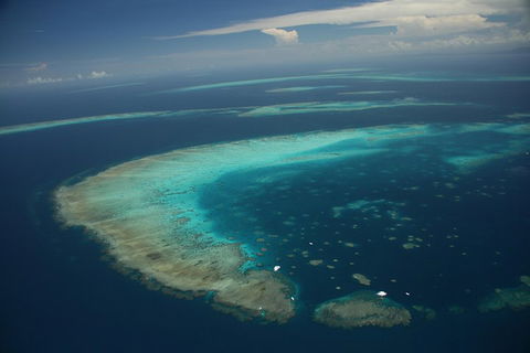 Great Barrier Reef Day Cruise From Cairns Including Snorkeling And Marine Biologist Presentation - Australian Directory 1
