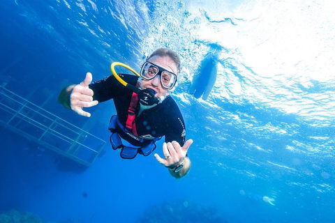 Great Barrier Reef Day Cruise From Cairns Including Snorkeling And Marine Biologist Presentation - Australian Directory 3