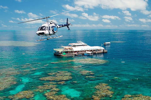 Great Barrier Reef Day Cruise From Cairns Including Snorkeling And Marine Biologist Presentation - Australian Directory 5