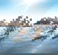 Brisbane Kayak Tour - Australian Directory