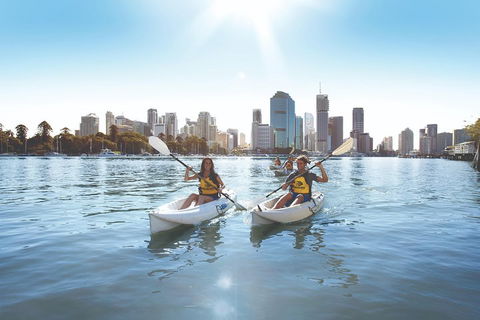 Brisbane Kayak Tour - Australian Directory 0