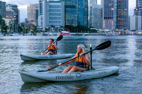 Brisbane Kayak Tour - Australian Directory 3