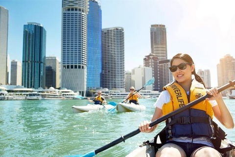 Brisbane Kayak Tour - Australian Directory 5