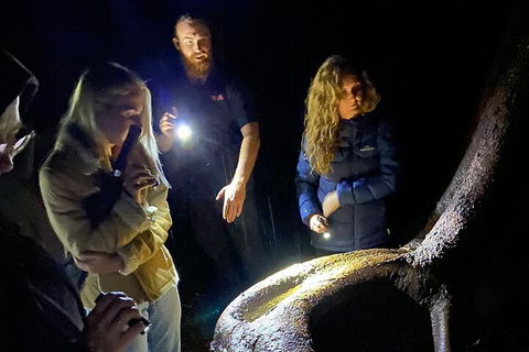 Evening Rainforest & Glow Worm Experience - Australian Directory 2