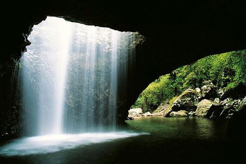 Natural Bridge & Springbrook Waterfalls Tour - Australian Directory 0