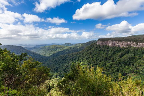 Natural Bridge & Springbrook Waterfalls Tour - Australian Directory 1