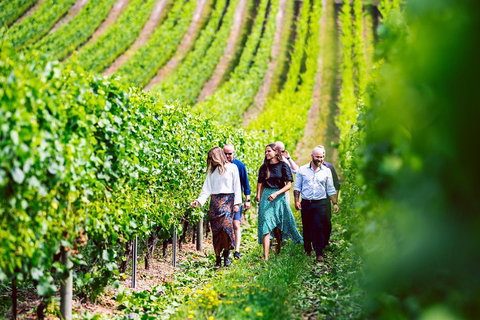 Tasmanian Wine Tour - Australian Directory 0