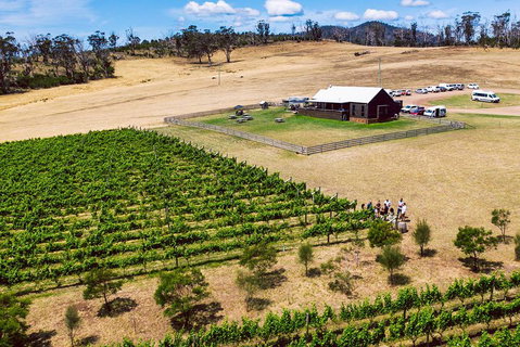 Tasmanian Wine Tour - Australian Directory 3