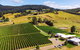 Tasmanian Wine Tour - thumb 4