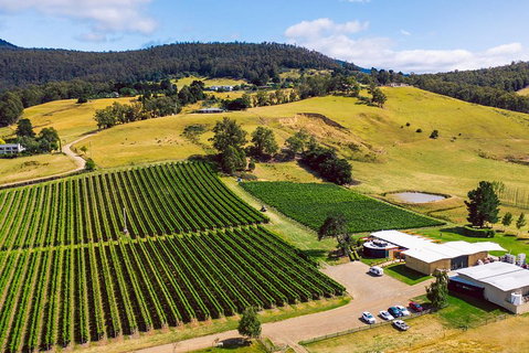 Tasmanian Wine Tour - Australian Directory 4