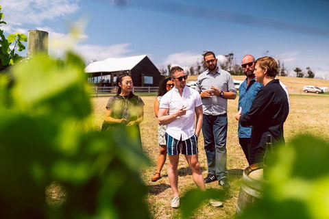 Tasmanian Wine Tour - Australian Directory 5