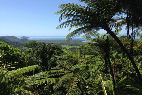 Daintree And Cape Tribulation Full Day Guided Tour - Australian Directory 2