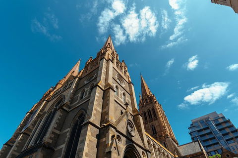 Highlights & Hidden Gems With Locals: Best Of Melbourne Private Tour - Australian Directory 4
