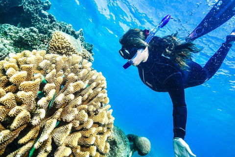 Green Island Day Trip From Cairns - Australian Directory 1