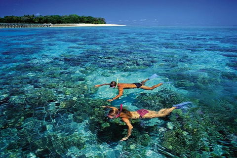 Green Island Day Trip From Cairns - Australian Directory 5