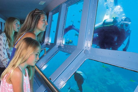 Quicksilver Outer Great Barrier Reef Snorkel Cruise From Palm Cove - Australian Directory 0