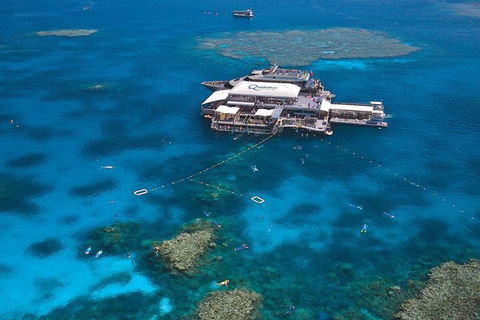 Quicksilver Outer Great Barrier Reef Snorkel Cruise From Palm Cove - Australian Directory 1
