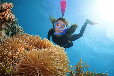 Quicksilver Outer Great Barrier Reef Snorkel Cruise From Palm Cove - Australian Directory 2