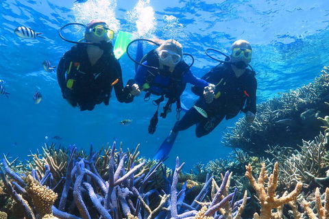 Quicksilver Outer Great Barrier Reef Snorkel Cruise From Palm Cove - Australian Directory 3