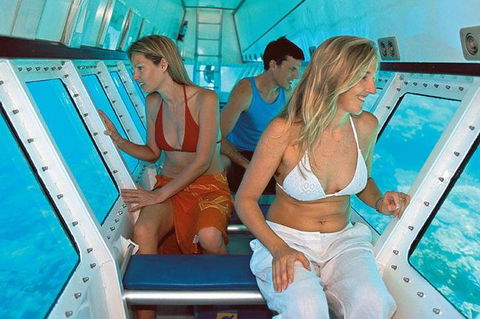 Quicksilver Outer Great Barrier Reef Snorkel Cruise From Palm Cove - Australian Directory 5