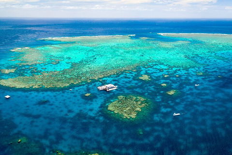 Quicksilver Outer Great Barrier Reef Snorkel Cruise From Port Douglas - Australian Directory 5