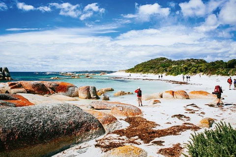 Wineglass Bay Private Charter Service - Australian Directory 3