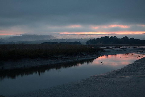 Launceston Private Charter Service - Australian Directory 1