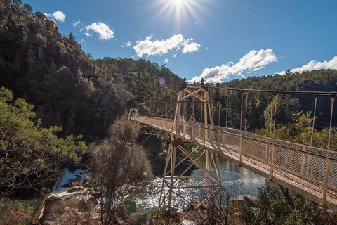 Launceston Private Charter Service - Australian Directory 5