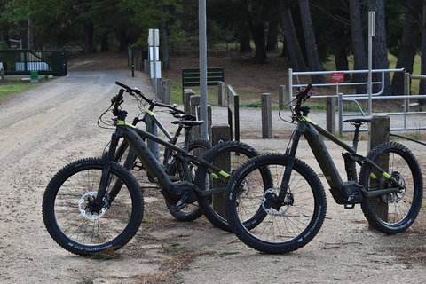 Fully Guided E-Mountain Bike Tour On The Beautiful Mornington Peninsula. - Australian Directory 2