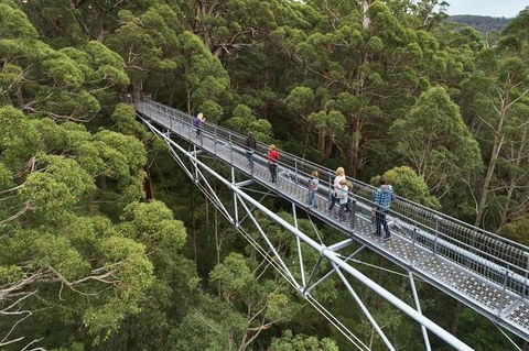 6 Days Perth All-Inclusive Touring Package With Wildflowers ( Seasonal) - Australian Directory 3
