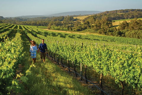 6 Days Perth All-Inclusive Touring Package With Wildflowers ( Seasonal) - Australian Directory 4