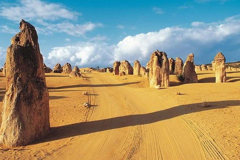 6 Days Perth All-Inclusive Touring Package With Wildflowers ( Seasonal) - Australian Directory 5