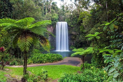 Cairns & Port Douglas All-Inclusive 7 Days Touring Package - Australian Directory 2