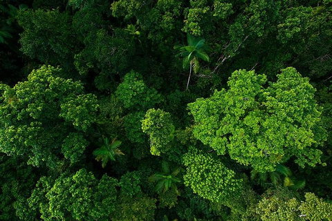 Cairns & Port Douglas All-Inclusive 7 Days Touring Package - Australian Directory 4
