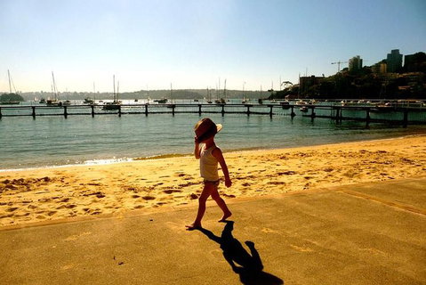 Morning Or Afternoon Highlights Tour In Sydney With A Local Guide - Australian Directory 3