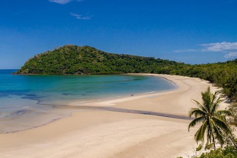 Daintree And Cape Tribulation Tour From Cairns - Australian Directory 1
