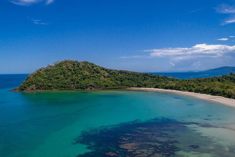 Daintree And Cape Tribulation Tour From Cairns - Australian Directory 4
