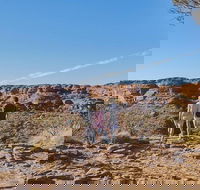 The Amazing Kings Canyon 4-Hours Walking Tour and Hike - Australian Directory